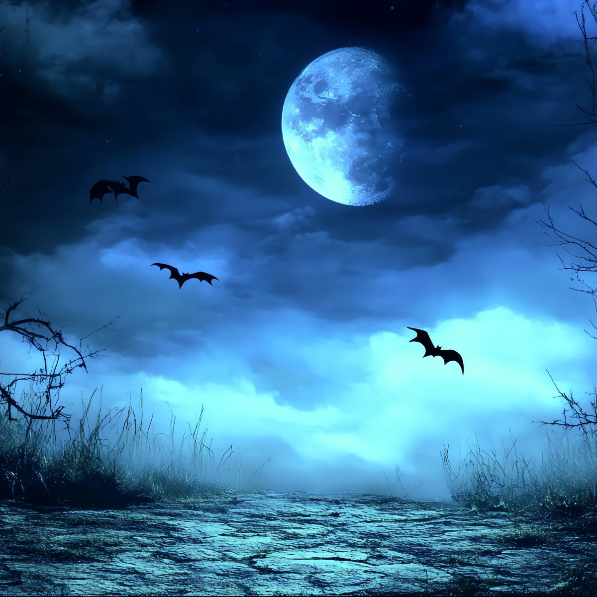 Nachthimmel Backdrop Blauer Nebel Gespenstischer Pfad Halloween Fotohintergrund CSH58-83