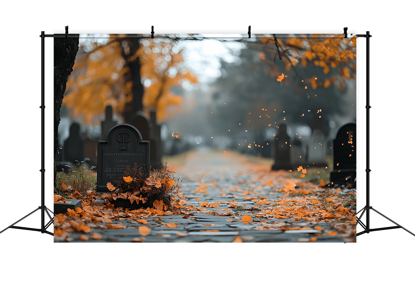 Friedhofs-Fotohintergrund Herbstblätter Grabweg Halloween-Fotohintergrund CSH58-91