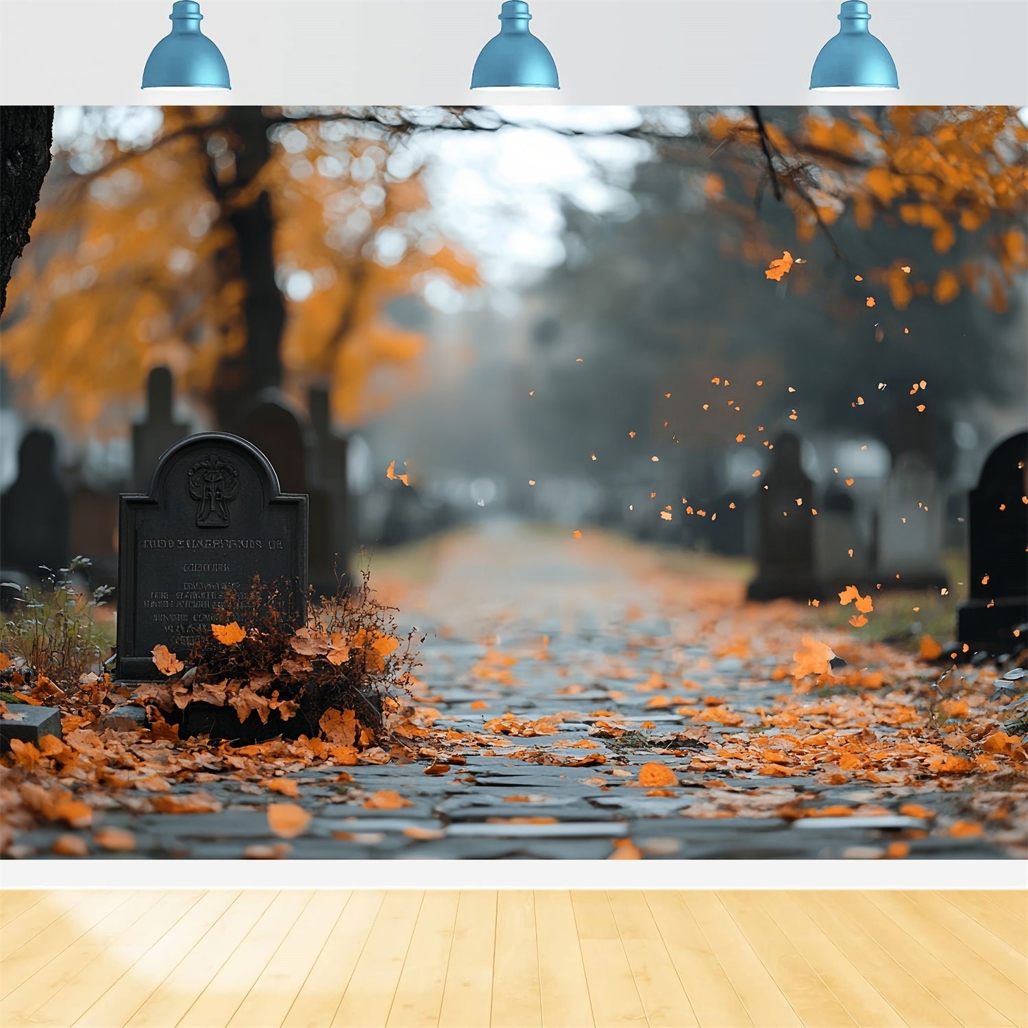 Friedhofs-Fotohintergrund Herbstblätter Grabweg Halloween-Fotohintergrund CSH58-91