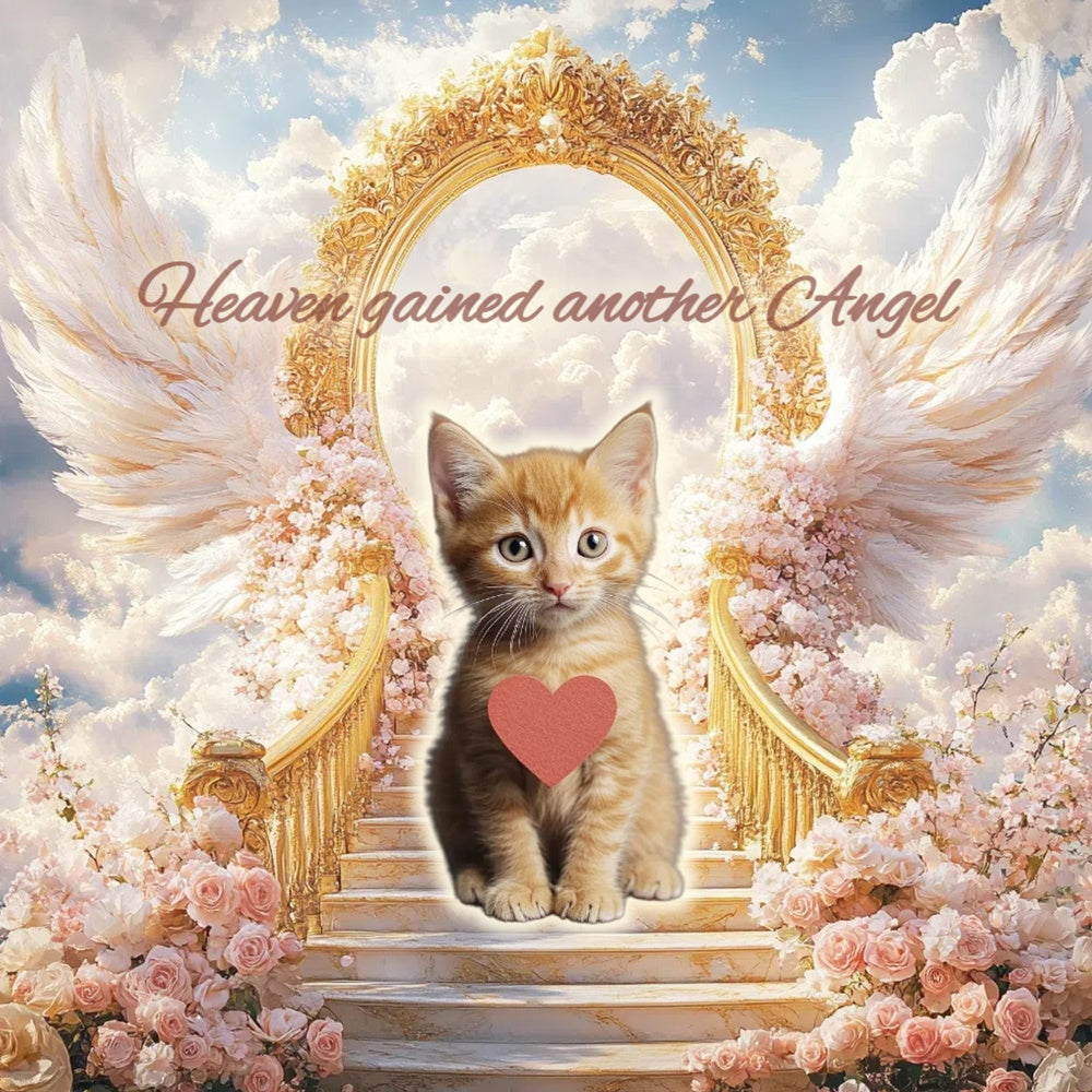 Gedenk-Hintergrund Golden Gate Kitten Tribute Custom Backdrop CSH6-342