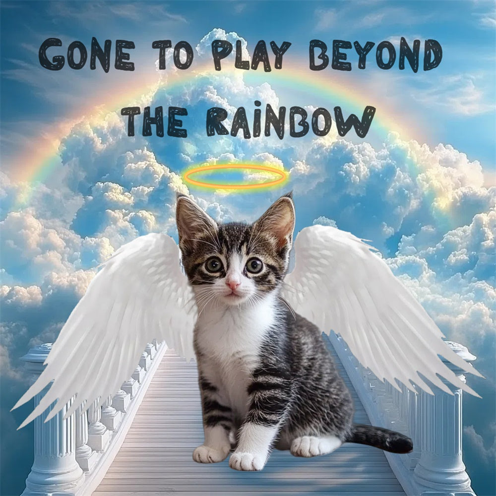 Memorial Backdrop Ideen Engel Kätzchen Regenbogen Customized Backdrop CSH6-354
