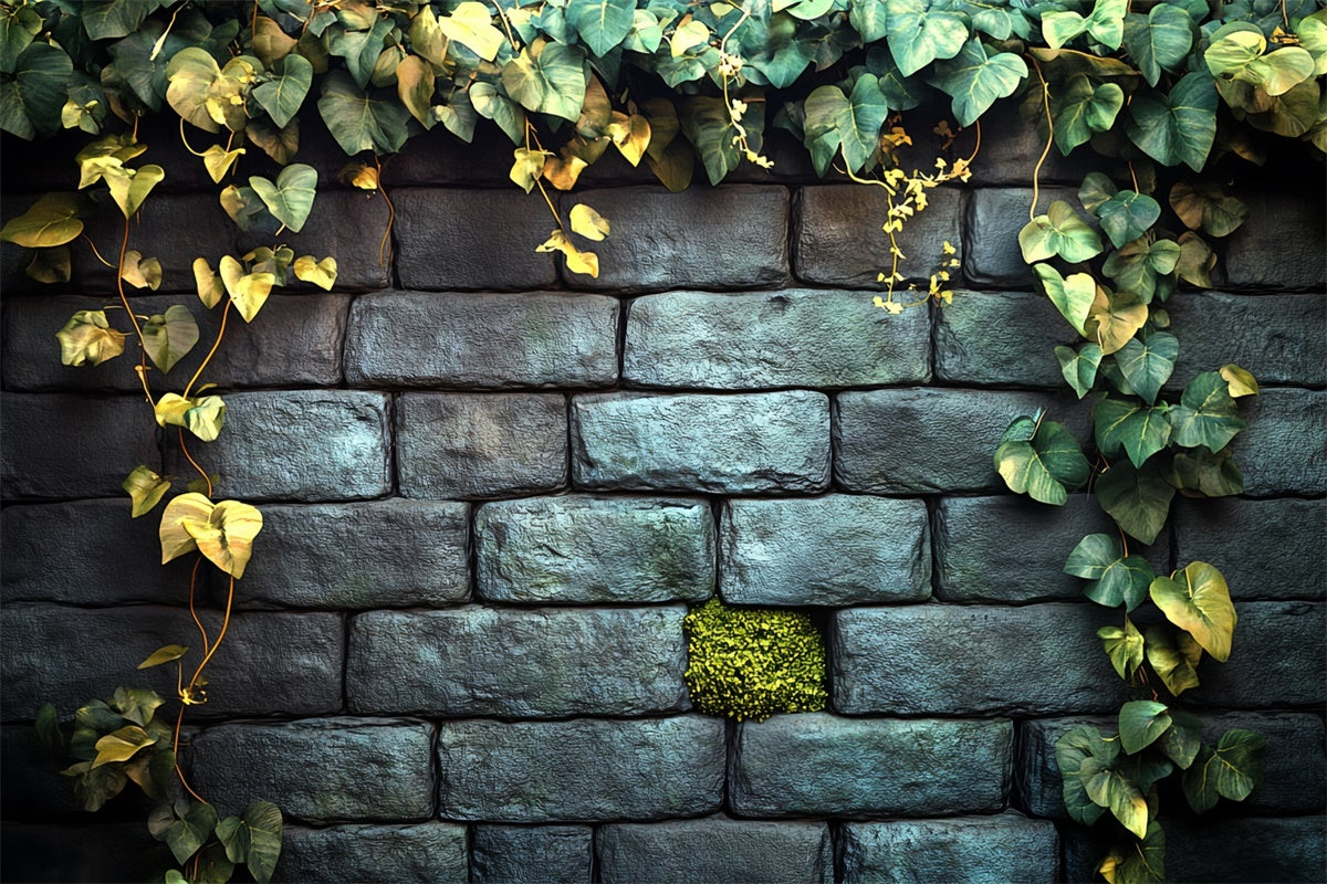 Halloween Wand Backdrop Efeu Garten Steinwand Backdrop CSH6-92