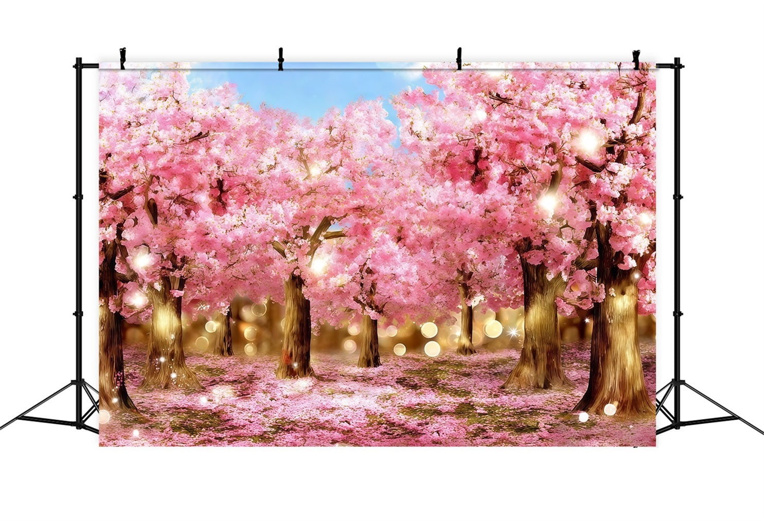Kirschblüten-Hintergrund Ideen Funkelnde rosa Blüten Wald Blumenhintergrund Fotografie CSH61-136