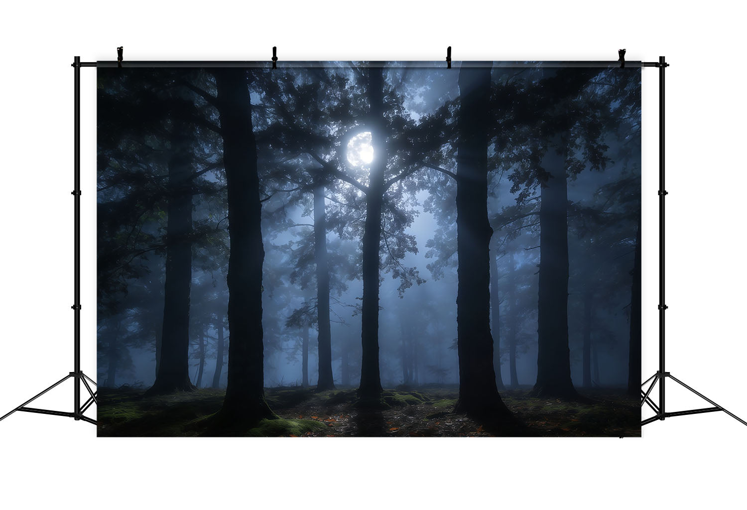Gruseliger Waldhintergrund Nebeliger Mond Schattenreiche Kiefernwald-Kulisse CSH61-215