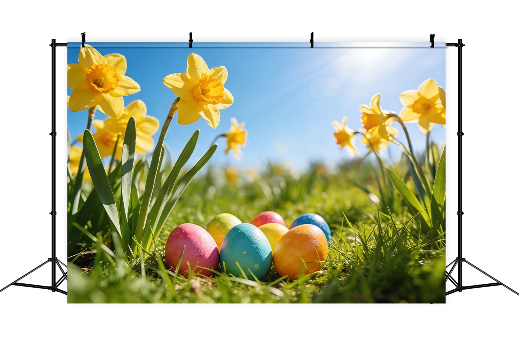 Oster-Narzsen-Hintergrund Sonnenlicht Wiese Bemalte Eier Oster-Hintergrund für Fotografie CSH61-67