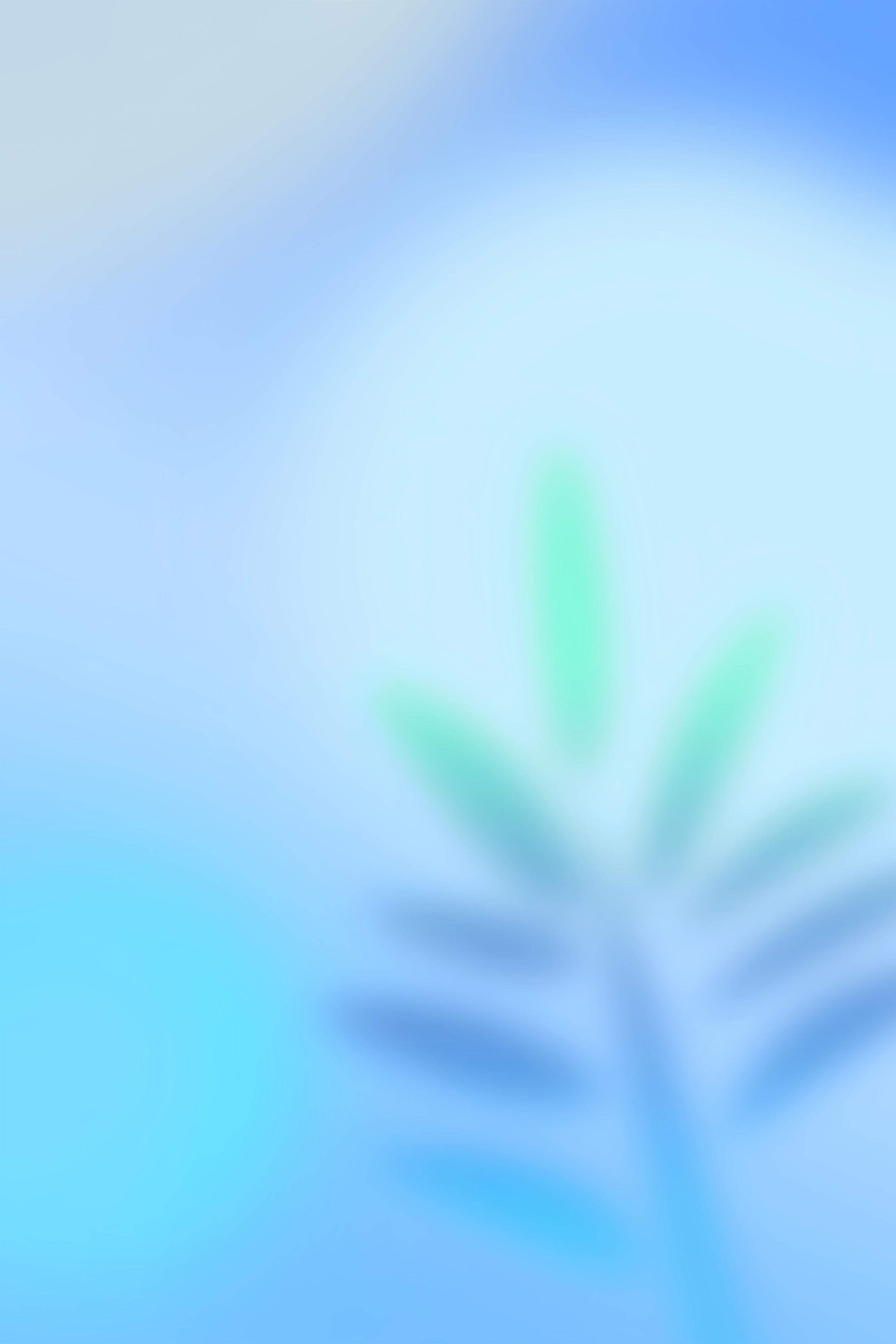 Foto-Hintergrund mit Farbverlauf, sanftes Palmgrün, blauer Schimmer, Hintergrund für professionelle Porträtaufnahmen CSH62-45