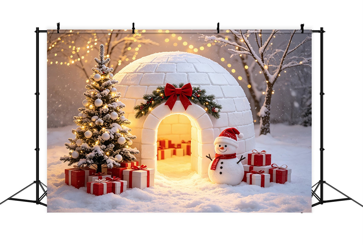 Fotohintergrund Nordpol Schneemann-Ausstellung Im Iglu Weihnachtsmann-Hintergrund CSH69-101