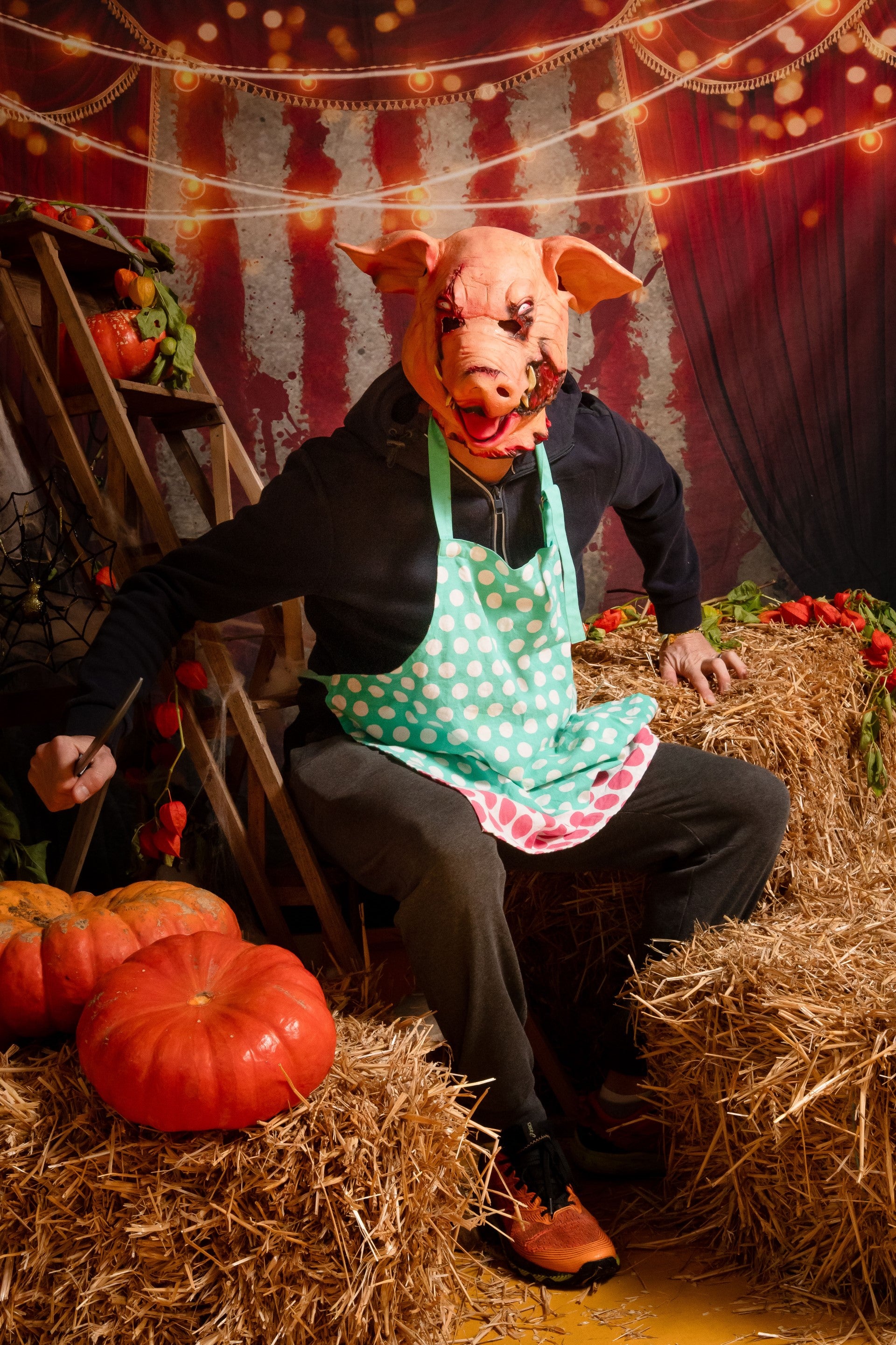 Halloween-Zirkus-roter Vorhang-Hintergrund für Fotografie D877