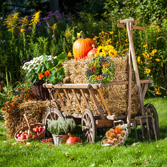 Festival Kulissen Herbst Bauernhof Hintergrund Erntezeit DBD-19066