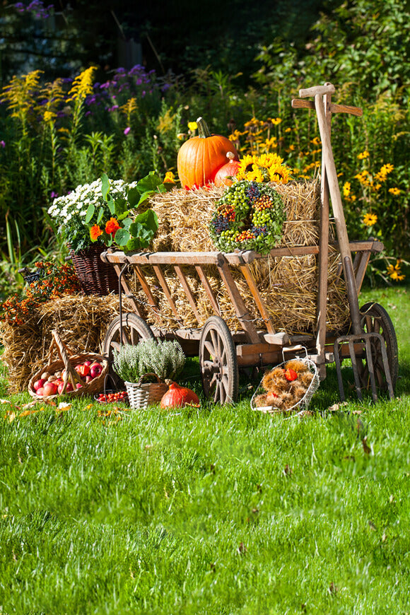 Festival Kulissen Herbst Bauernhof Hintergrund Erntezeit DBD-19066