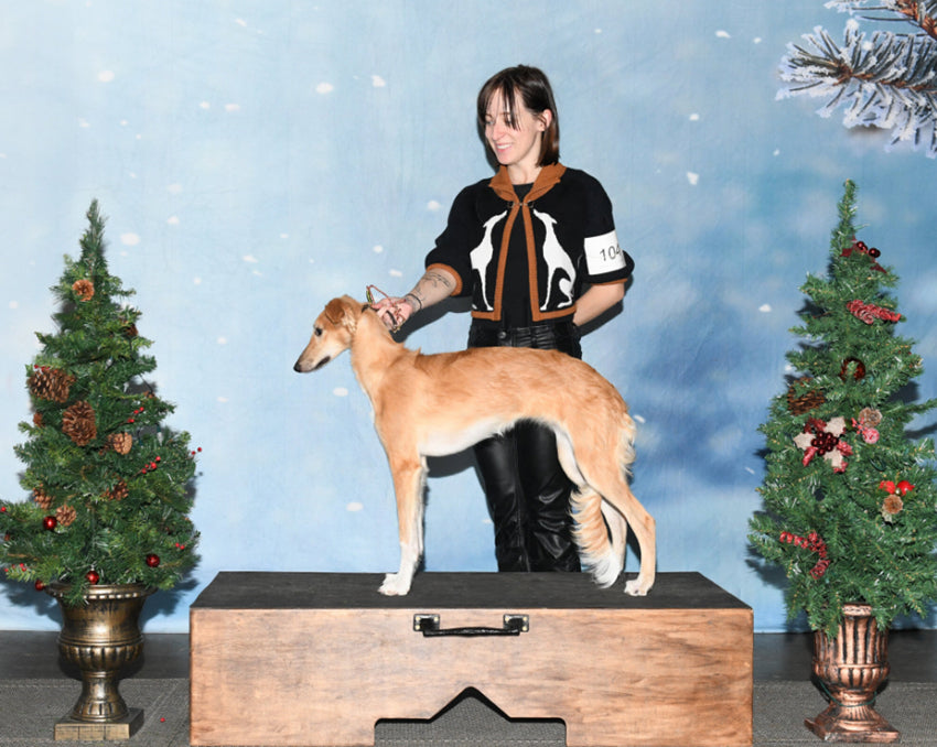 Schneeflocken Bokeh Weihnachtsbaum Foto Hintergrund DBD-19307