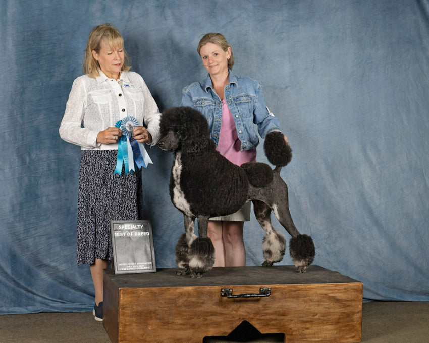 Blauer abstrakter Textur Porträt Fotografie Hintergrund GC-151