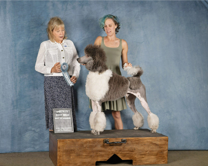 Blauer abstrakter Textur Porträt Fotografie Hintergrund GC-151