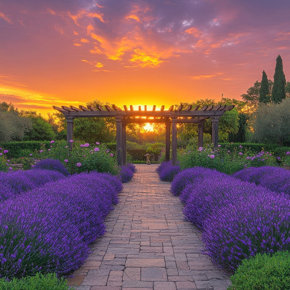 Lila Blumen Backdrop Lavendel Bogengang Sonnenuntergang Fotografie Hintergrund GQ4-28