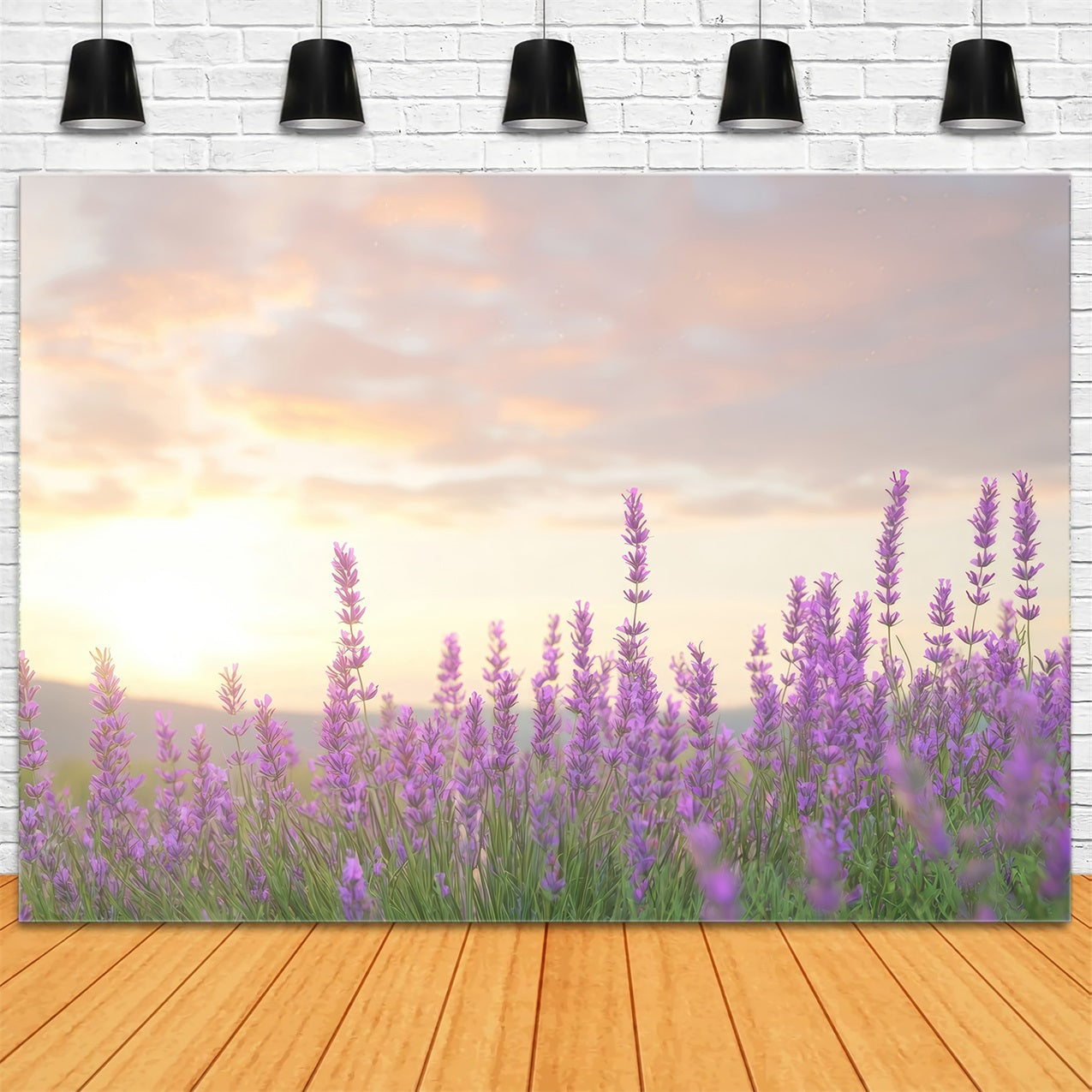 Lavendel Backdrops Warmes Glühen Lila Blume Hintergrund GQ4-33