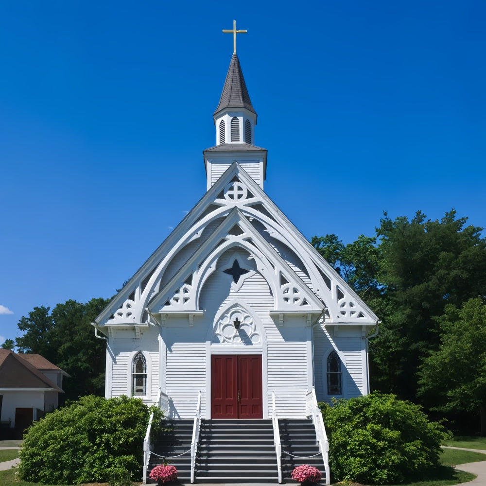 Kirche Backdrop Klassischer weißer Himmel Architektur Backdrop GQ4-77