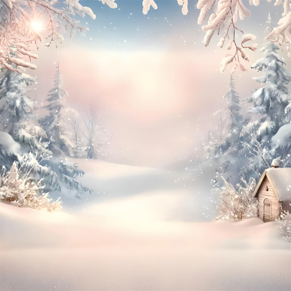 Winter Szene Hintergrund Dreamy Frost Morning Backdrop GQ57-158