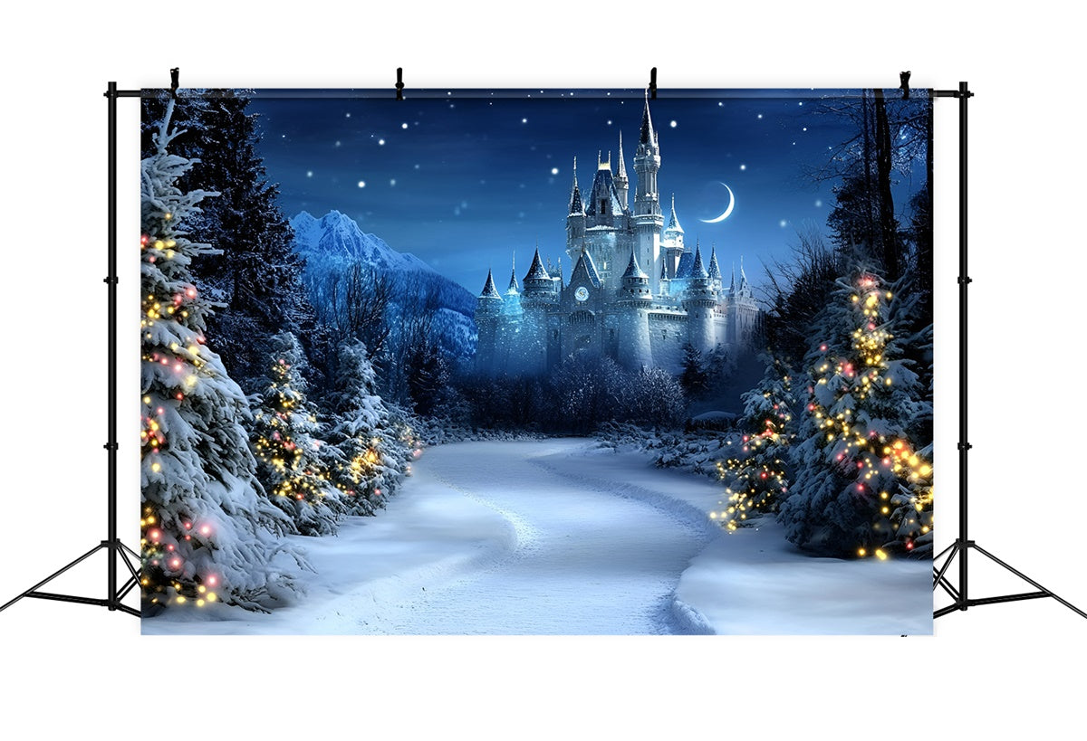 Weihnachten Backdrops Verkauf Starlit Holiday Palace Backdrop GQ57-24
