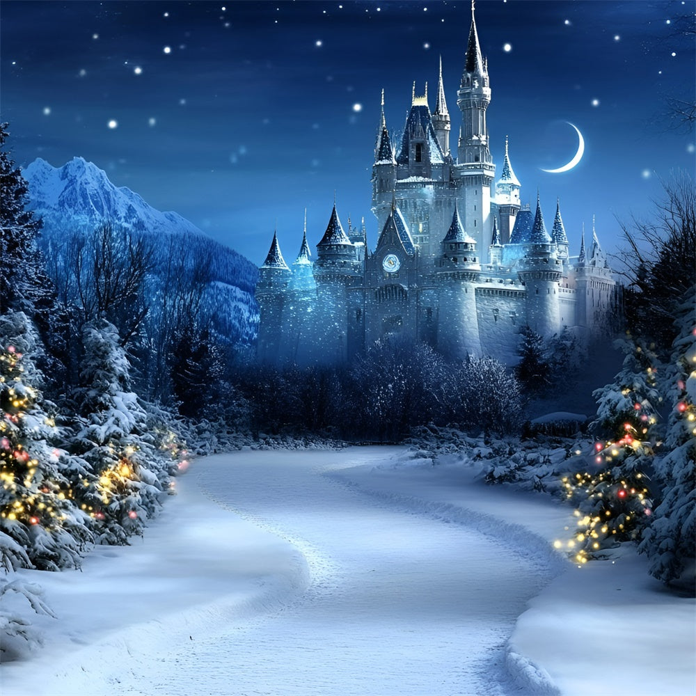 Weihnachten Backdrops Verkauf Starlit Holiday Palace Backdrop GQ57-24