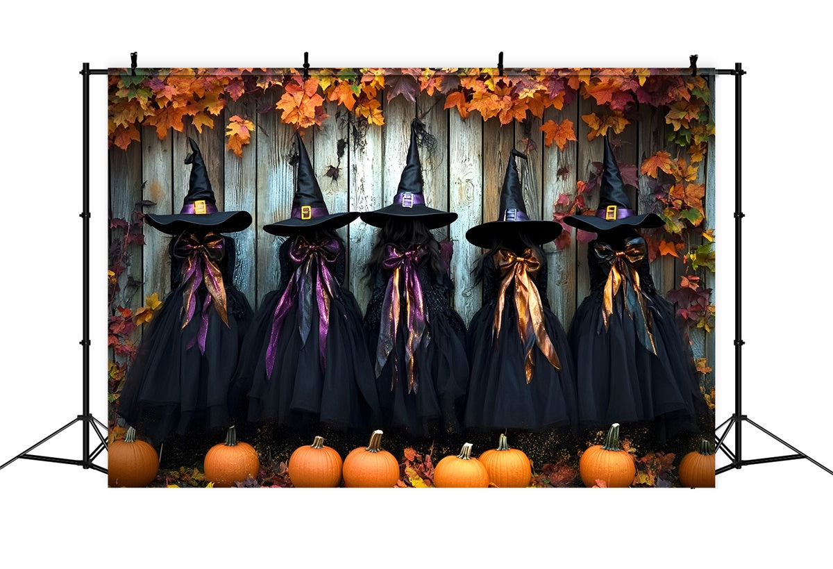 Halloween Hexe Hintergrund Spooky Witch Wardrobe Hintergrund GQ6-251