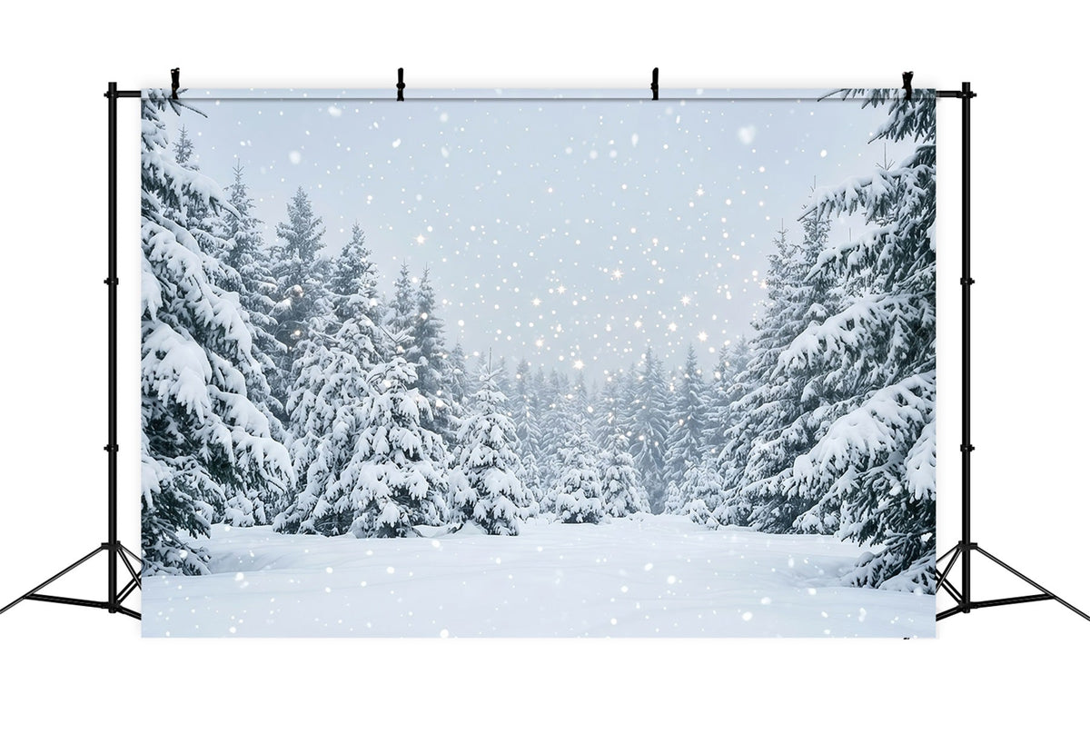 Weihnachtsbaum-Hintergrund Verschneiter Immergrüner Wald GQ610-111