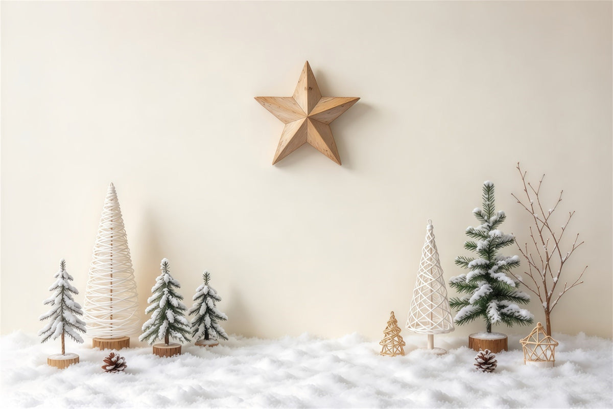 Minimalistischer Weihnachtshintergrund Winterstern Dekoration GQ69-86