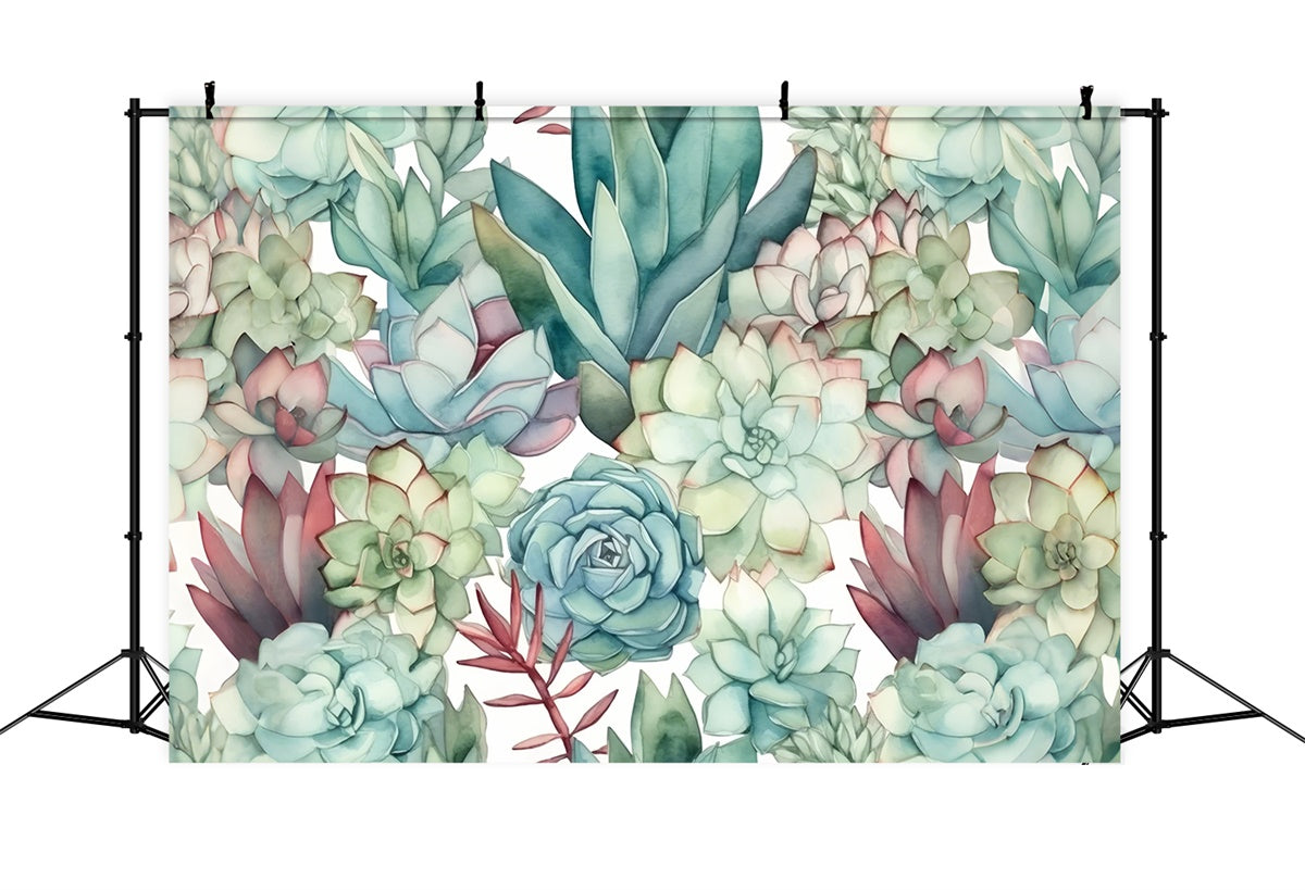 Backdrops Fine Art Lebendige Sukkulenten Gelassenheit Hintergrund GTY-89