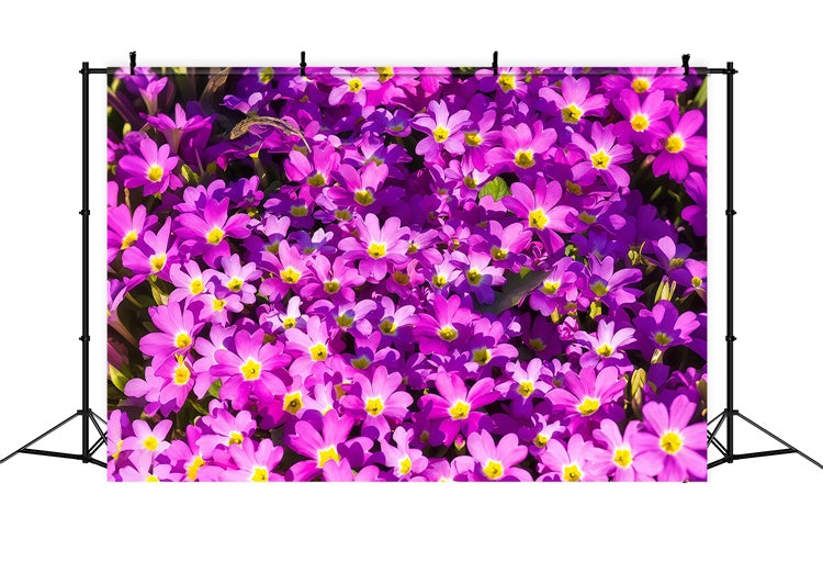 Violetter Blumenhintergrund Vibrant Wildflower Bloom Backdrop GTY3-30