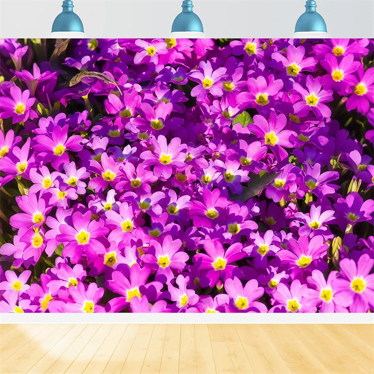 Violetter Blumenhintergrund Vibrant Wildflower Bloom Backdrop GTY3-30