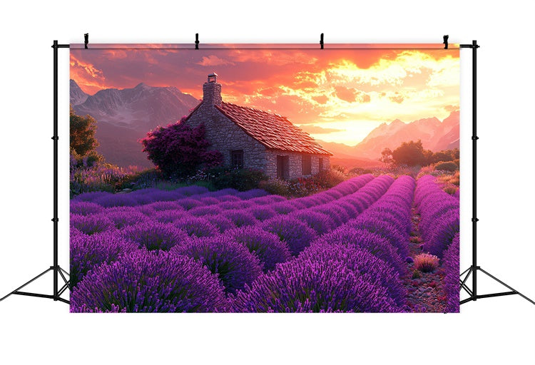 Lila Blumen Backdrop Lavendel Sonnenuntergang Cottage Dream Backdrop GTY3-31