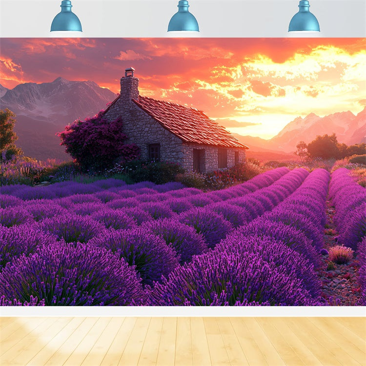 Lila Blumen Backdrop Lavendel Sonnenuntergang Cottage Dream Backdrop GTY3-31