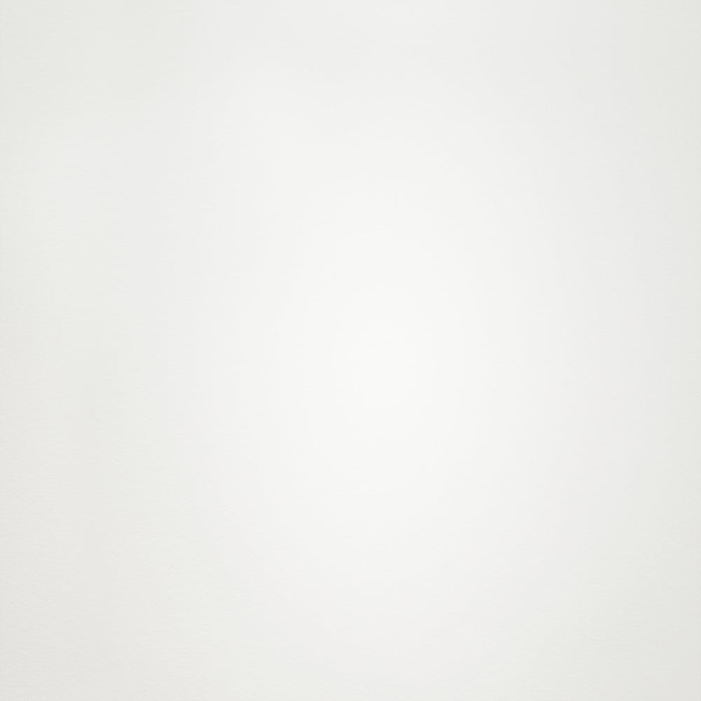Professioneller Abschluss-Fotohintergrund Einfacher Off-White-Hintergrund GTY3-315