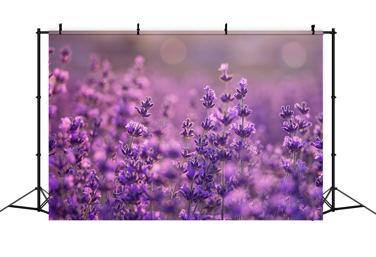 Lila Blumen Backdrop Sanfte Violette Wiese Backdrop GTY3-32