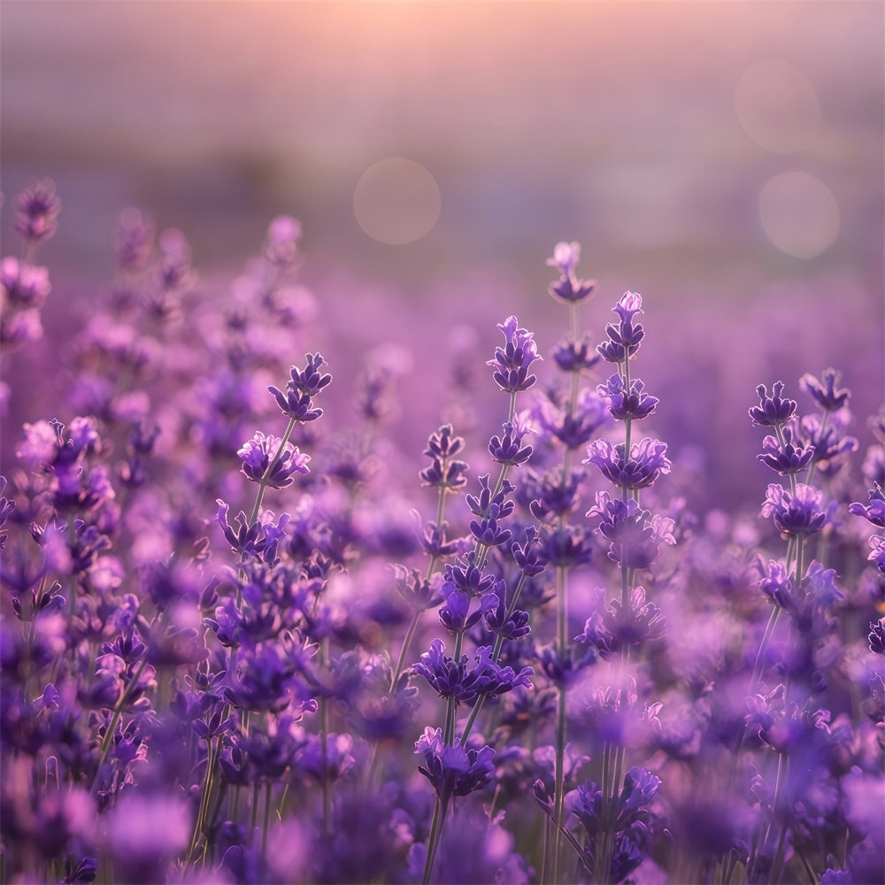 Lila Blumen Backdrop Sanfte Violette Wiese Backdrop GTY3-32