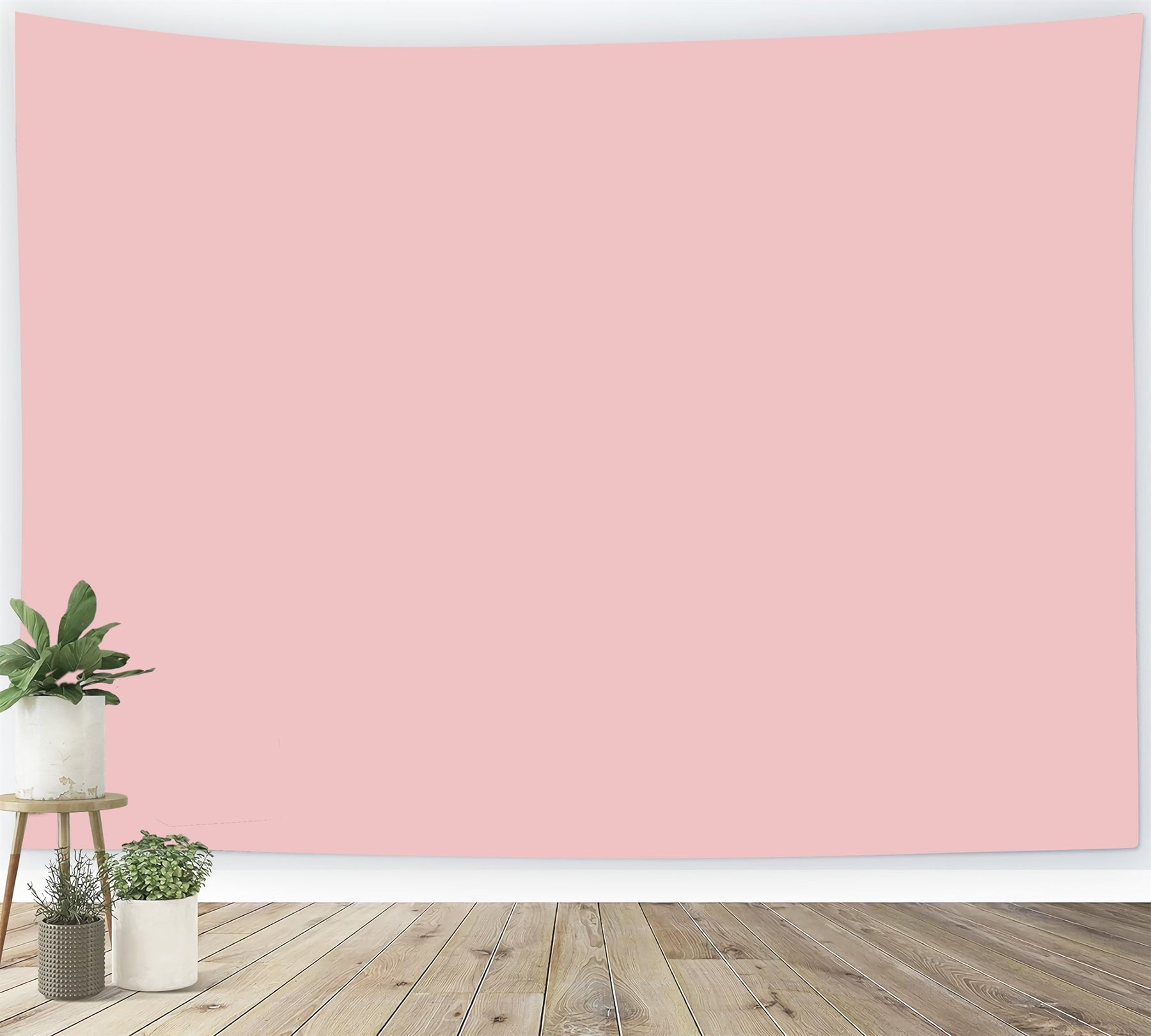Porträt-Hintergrund zum Schulabschluss Weiches Rosa, massiv, Studiohintergrund GTY3-328