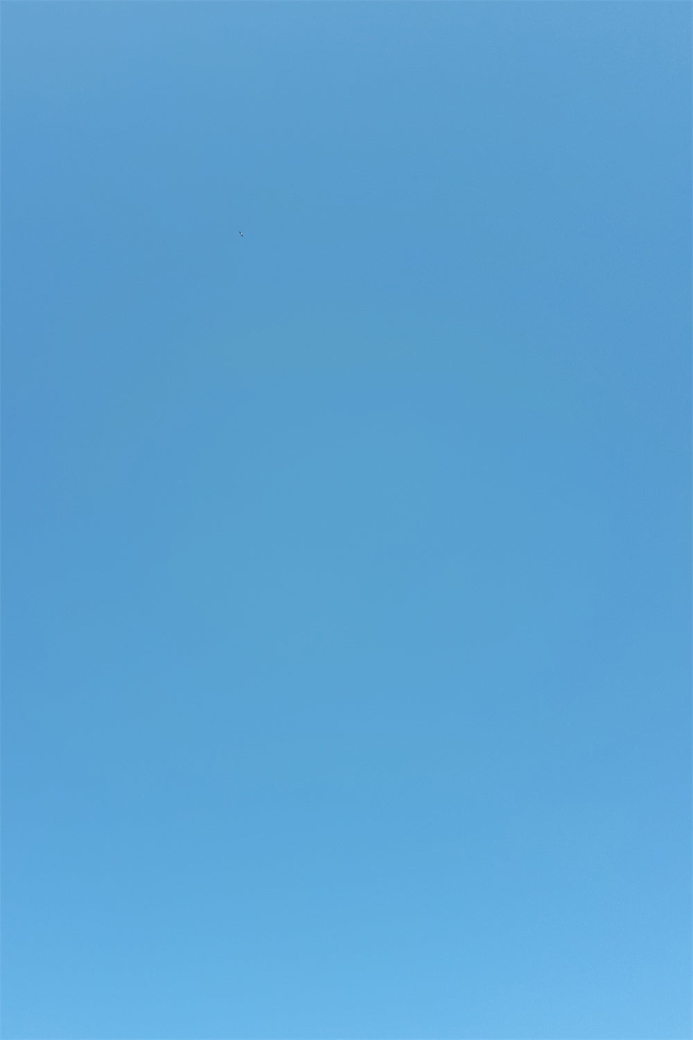 Blauer Hintergrund für Abschlussfeier Lebendiger himmelblauer Hintergrund GTY3-348