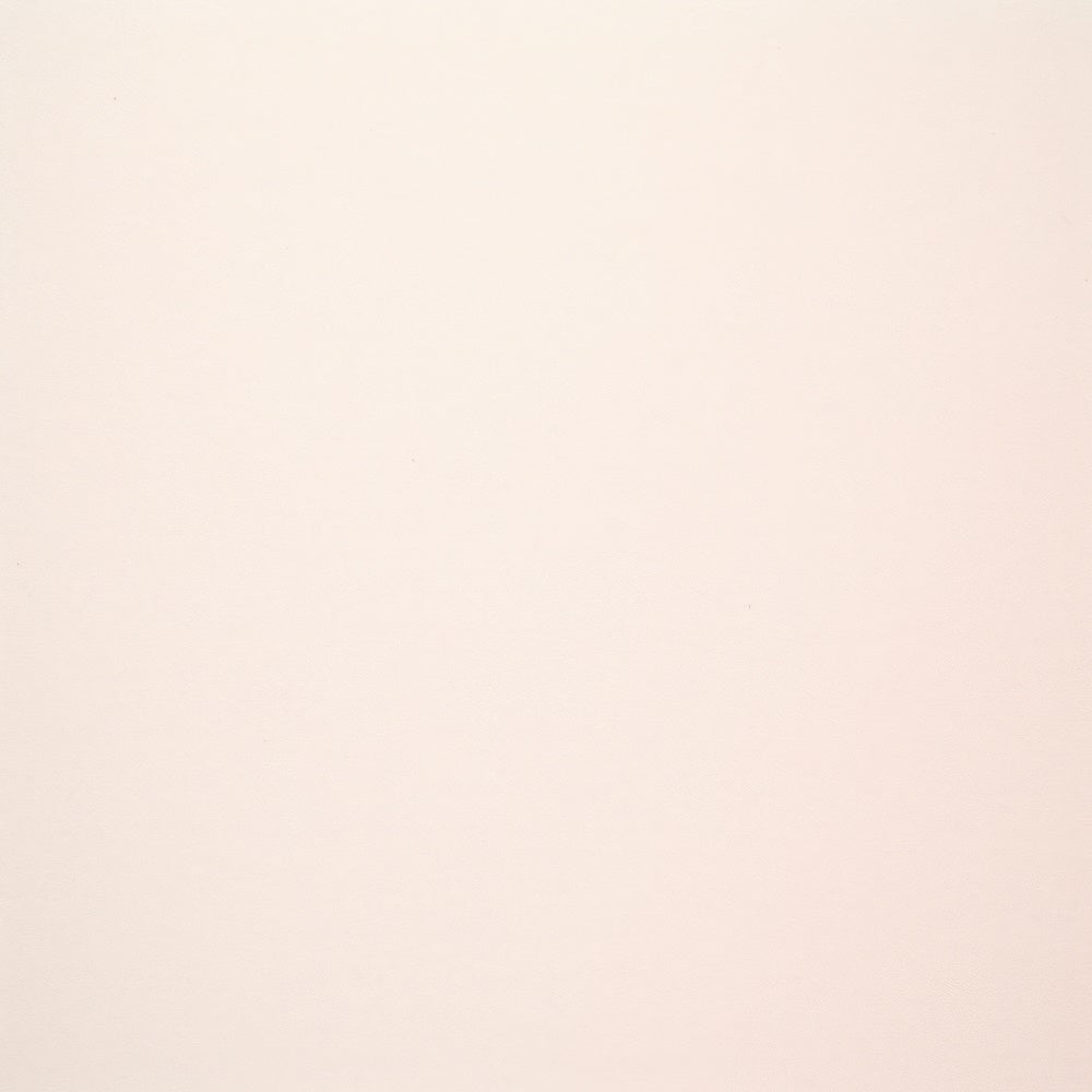 Backdrop für Headshots Weiches Beige Minimalistischer Backdrop GTY3-349