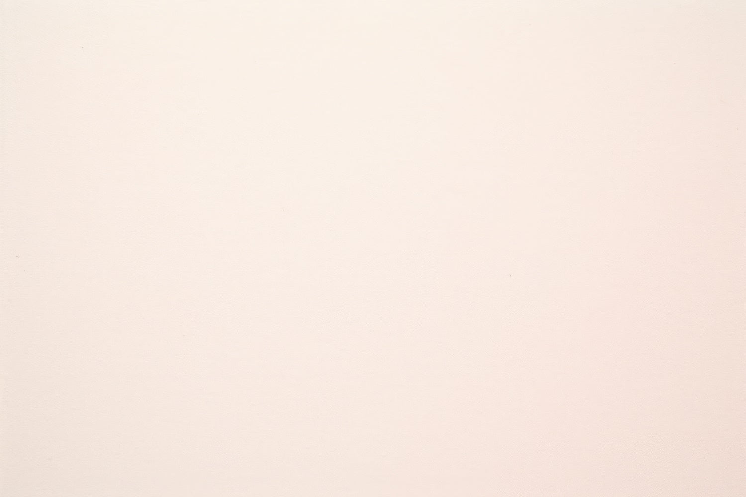 Backdrop für Headshots Weiches Beige Minimalistischer Backdrop GTY3-349