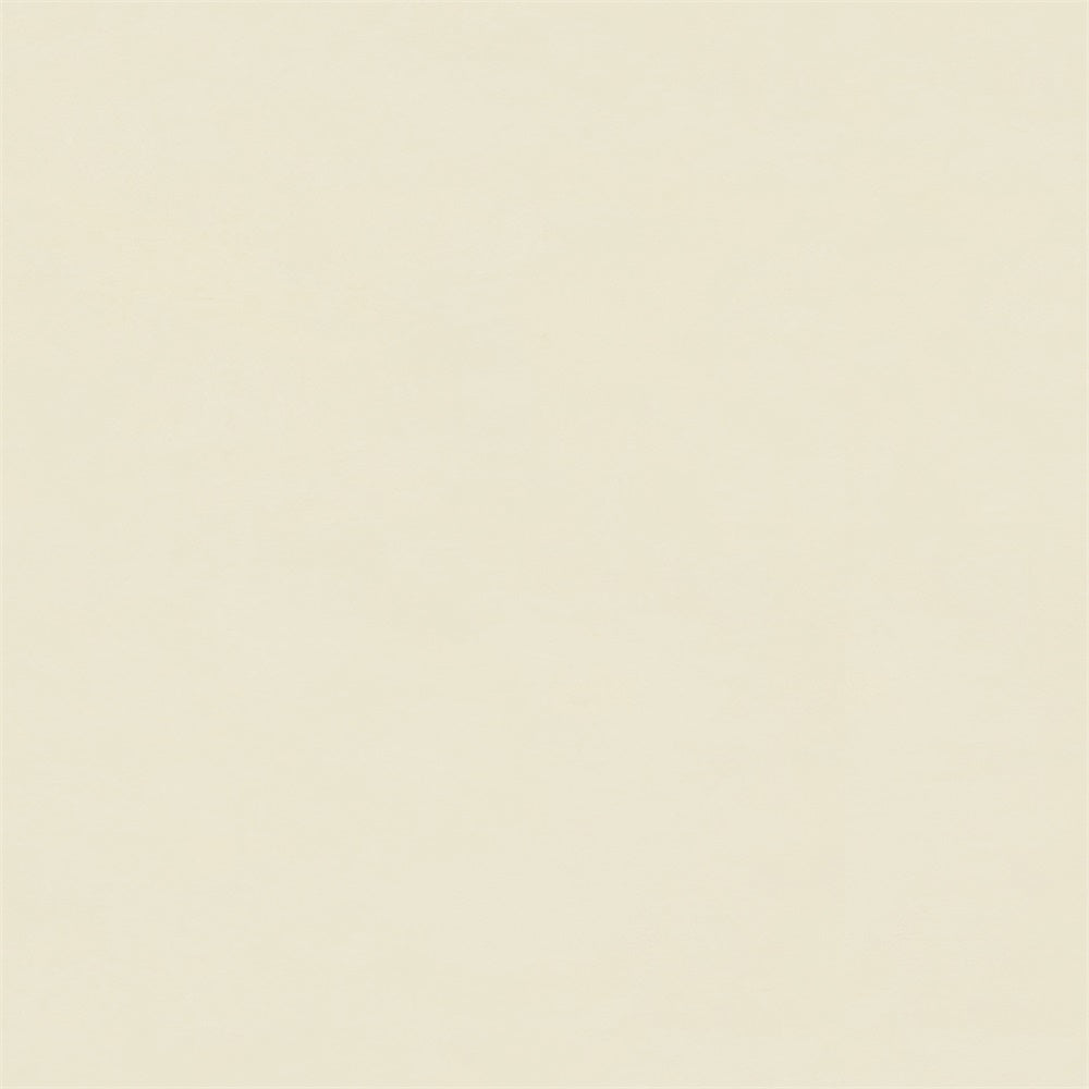 Professioneller Abschluss-Fotohintergrund Buttercreme-Hintergrund GTY3-354