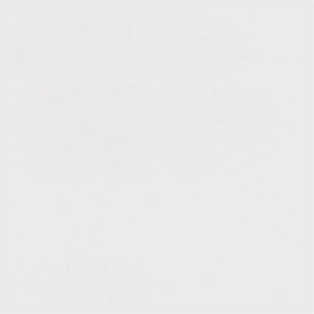 Abschlussfoto-Hintergrund Blasse Asche Minimalistischer Textur-Hintergrund GTY3-355