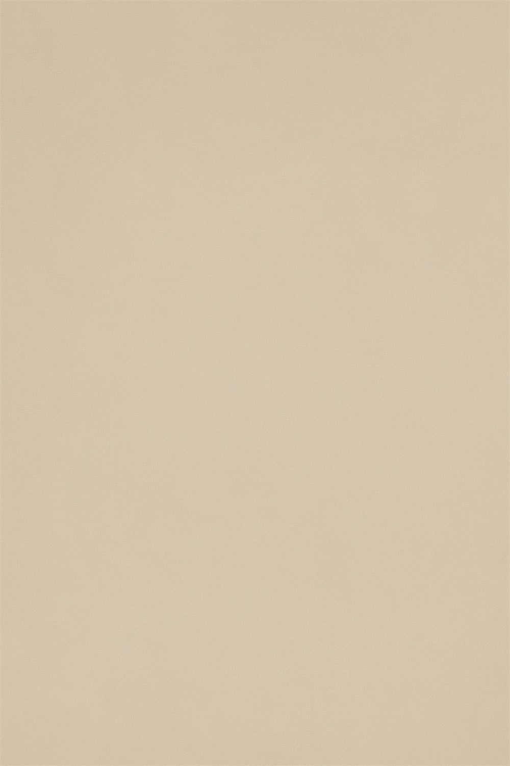 Backdrop Headshot Licht Mandel Glatt Tone Backdrop GTY3-360