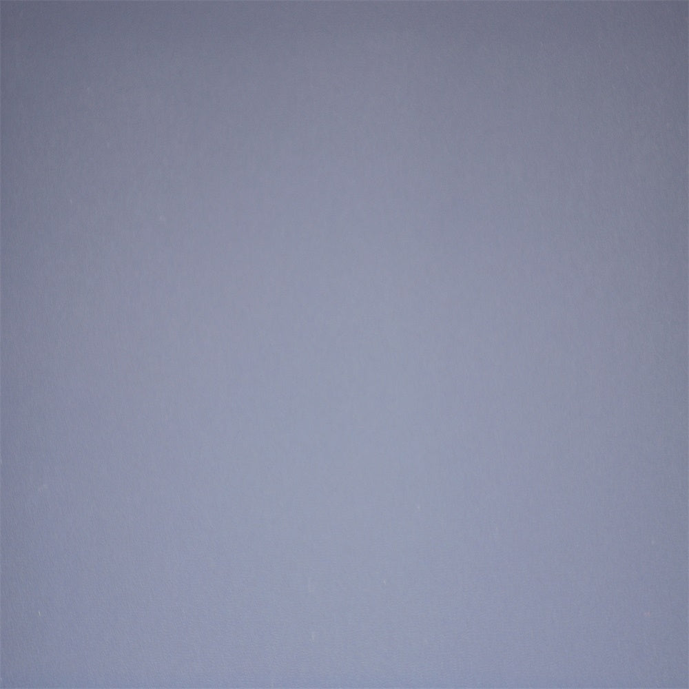 Backdrop für Headshot Blasslila Minimal Backdrop GTY3-368