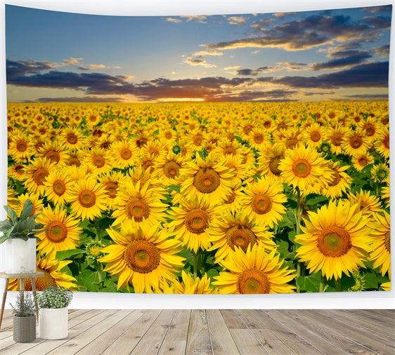 Sunflower Backdrops Goldene Sonnenblume Sonnenuntergang Feld Sommer Hintergrund GTY3-381