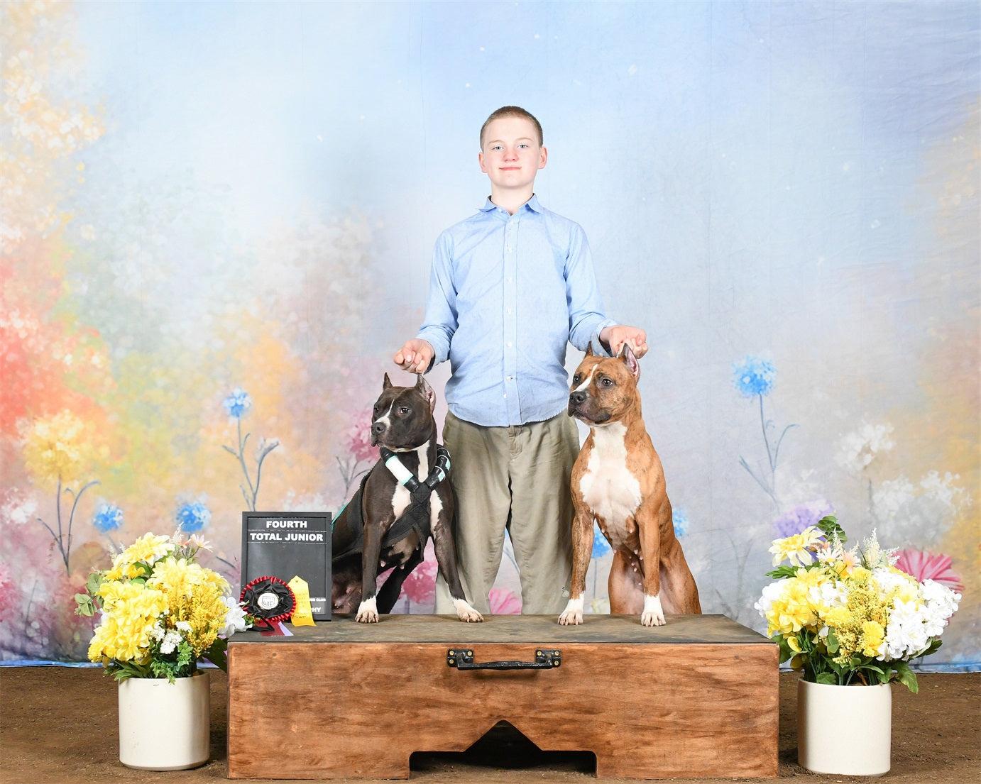 Frühling Backdrops Fotografie Pastell Wildblumen Wiese Backdrop LXX1-149