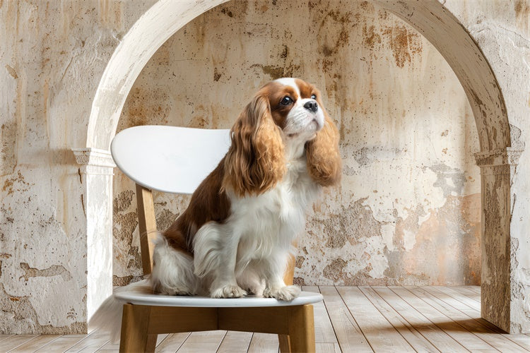 Haustierfotografie Backdrops Alte Mauer Rustikaler Bogen Backdrop LXX1-256