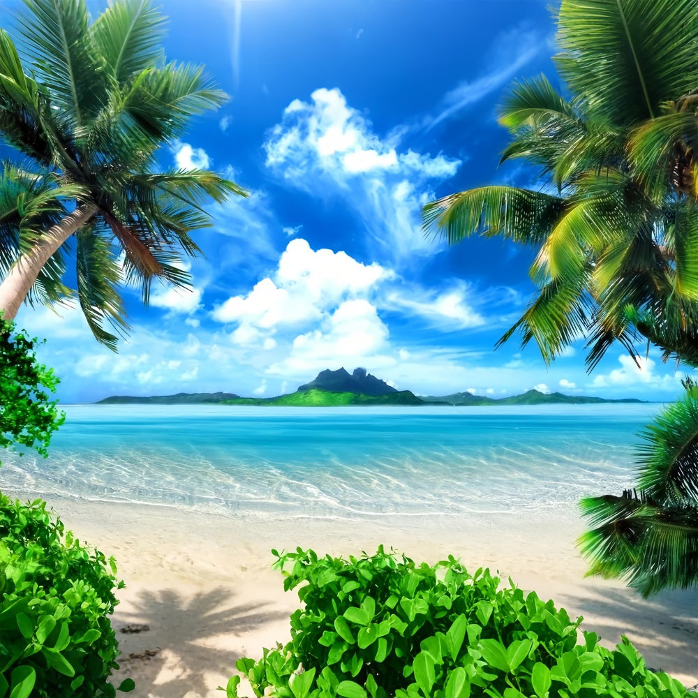 Fotografie Himmel Backdrop Serene Ocean Palm Trees Backdrop LXX1-305