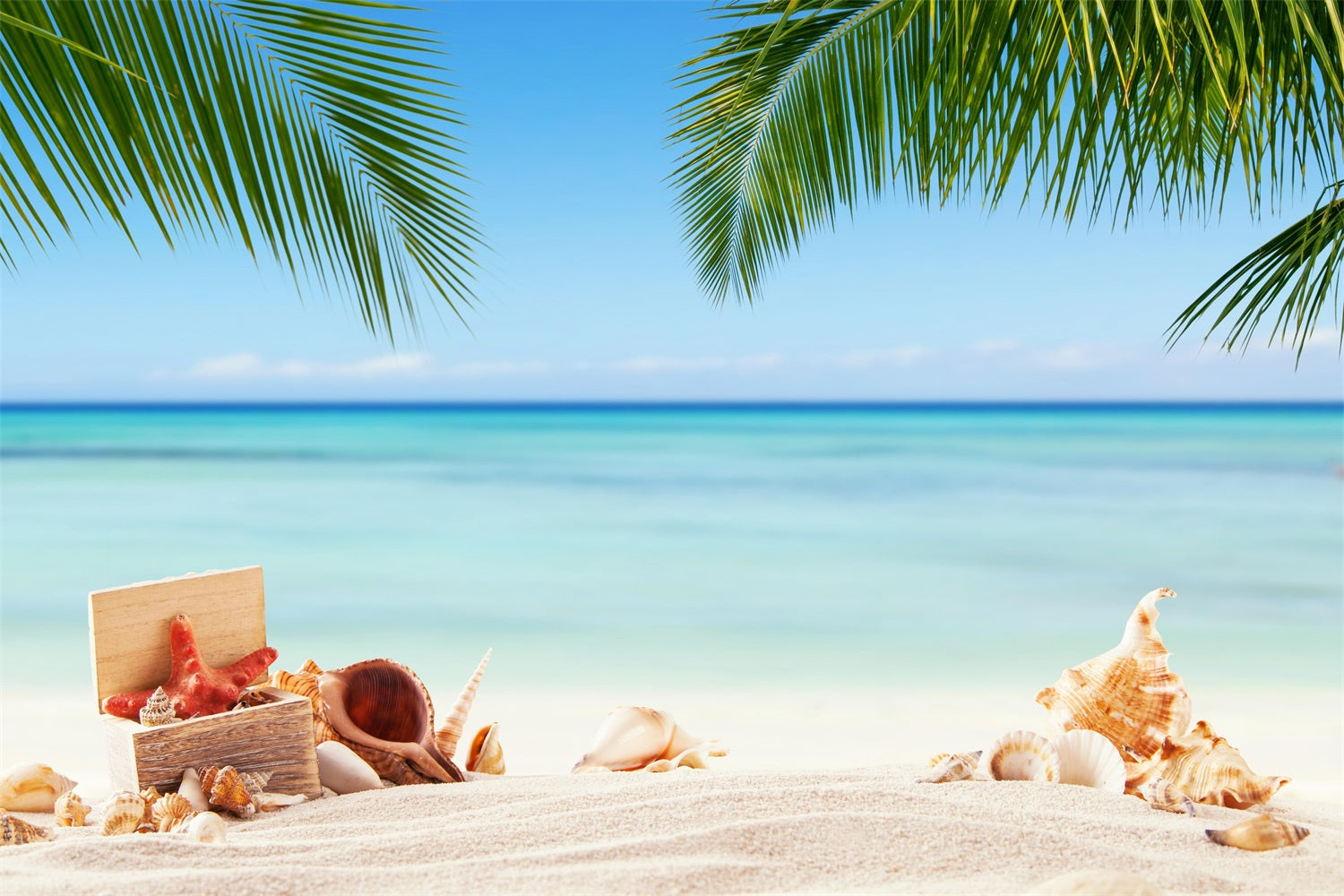 Himmel Fotografie Backdrop Tropische Muscheln Ruhiger Ozean Backdrop LXX1-308