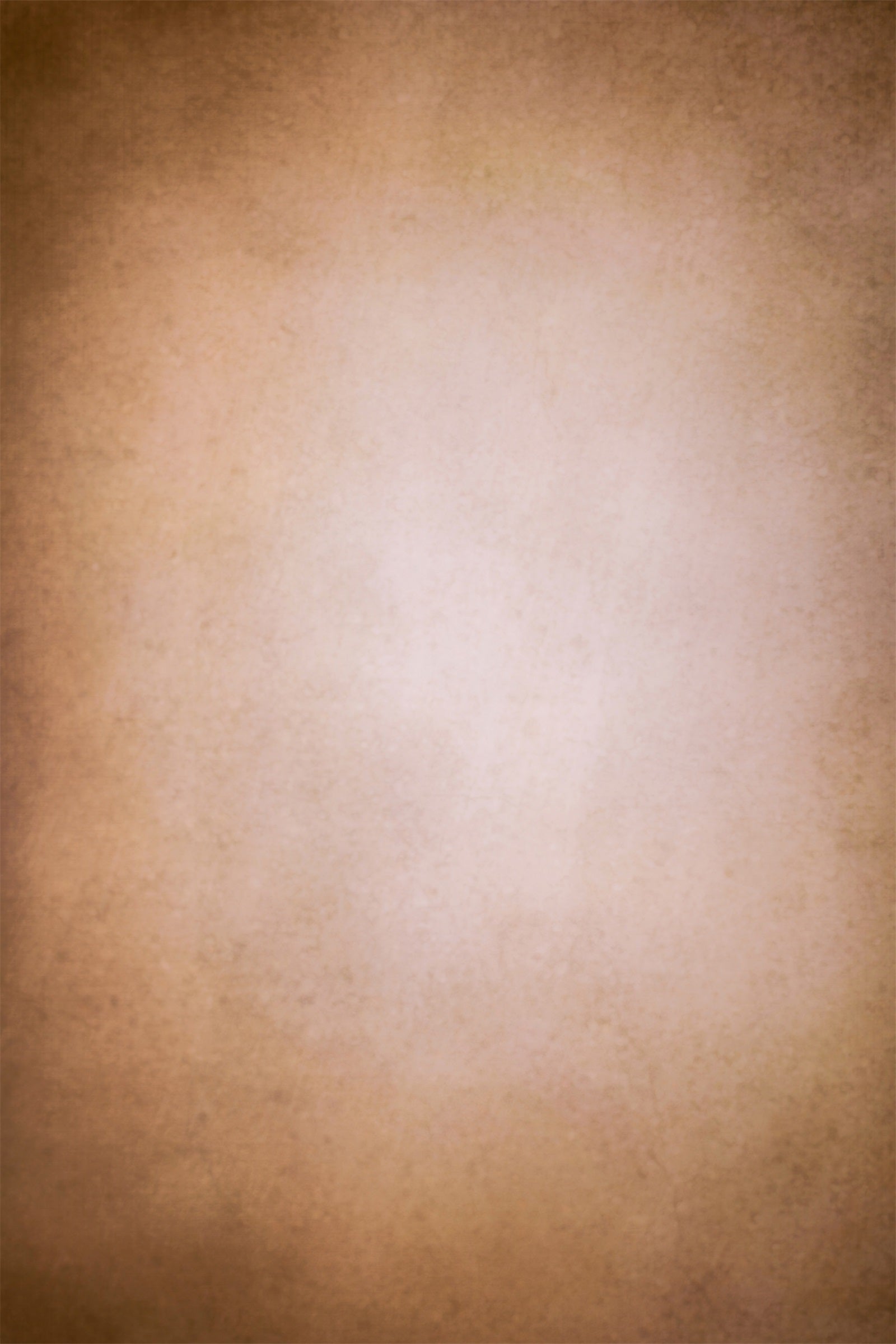 Abstrakte Fotografie Backdrop Soft Sepia Gradient Backdrop LXX1-369