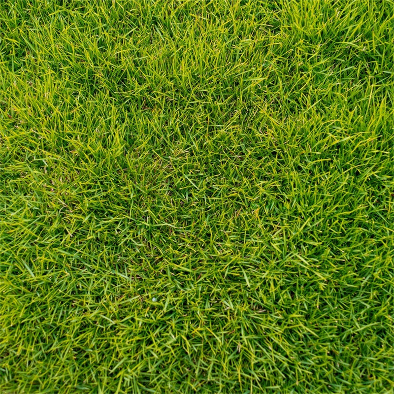 Floor Backdrop Fotografie Lush Green Grass Floor Backdrop LXX2-227