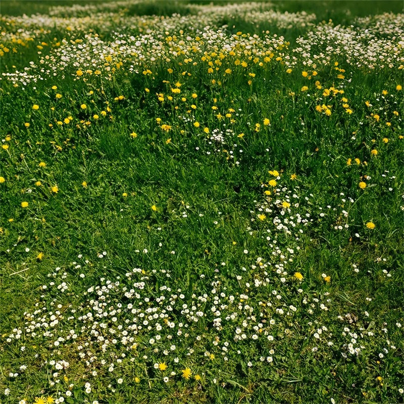 Fotohintergrund Boden Wildblumenwiese Grüner Bodenhintergrund LXX2-228